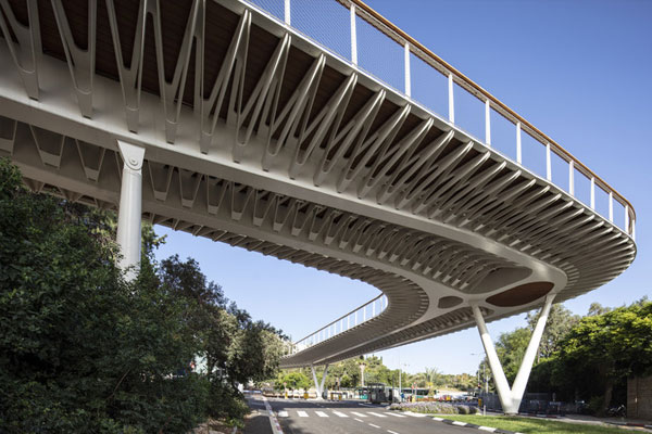 Bridge walkways & support structures